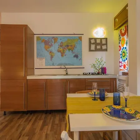 Sunny Open Space アパート *